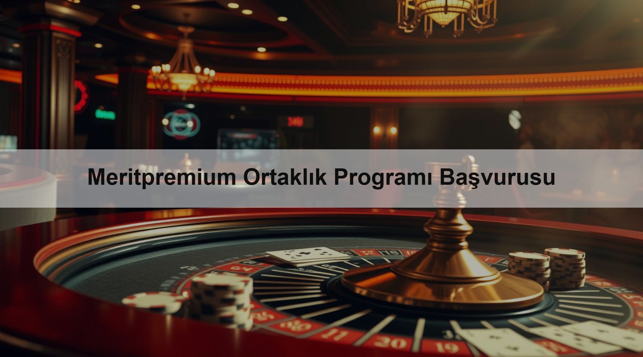 Meritpremium Ortaklık Programı Başvurusu
